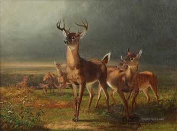 Animal Painting - Ciervos en la pradera William Holbrook Beard